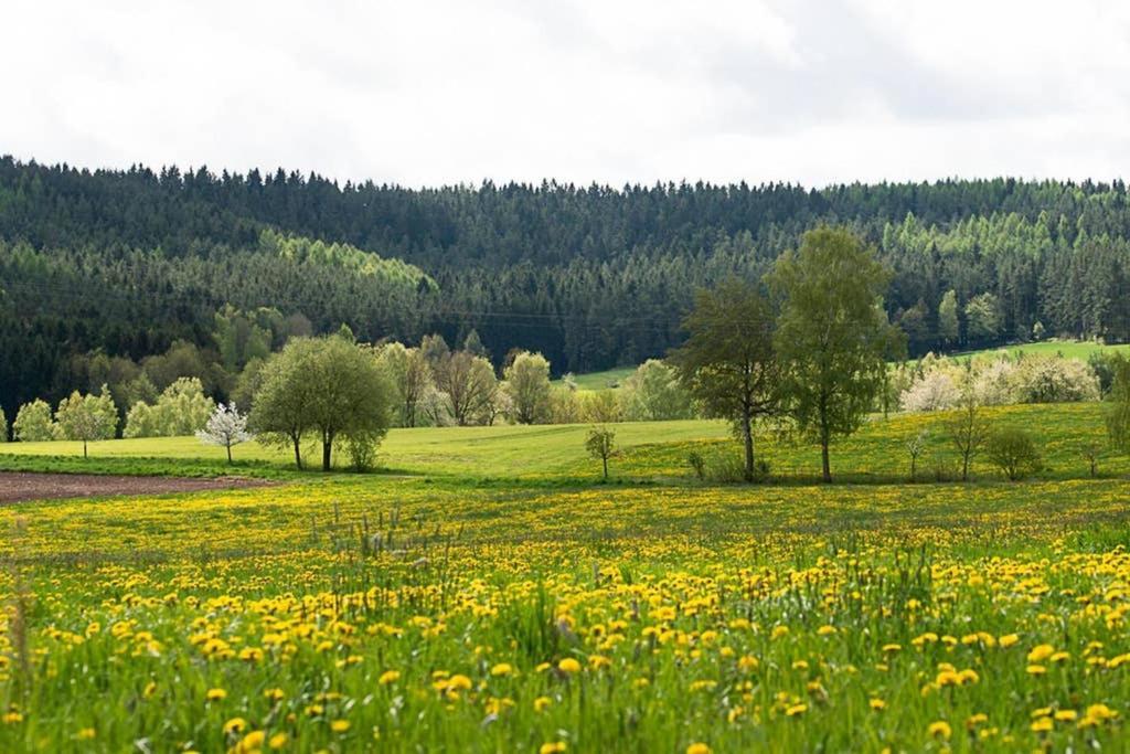 Gaestehaus Kohlberg Kohlberg  Exterior foto